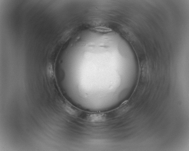 X0000071930089200607212145