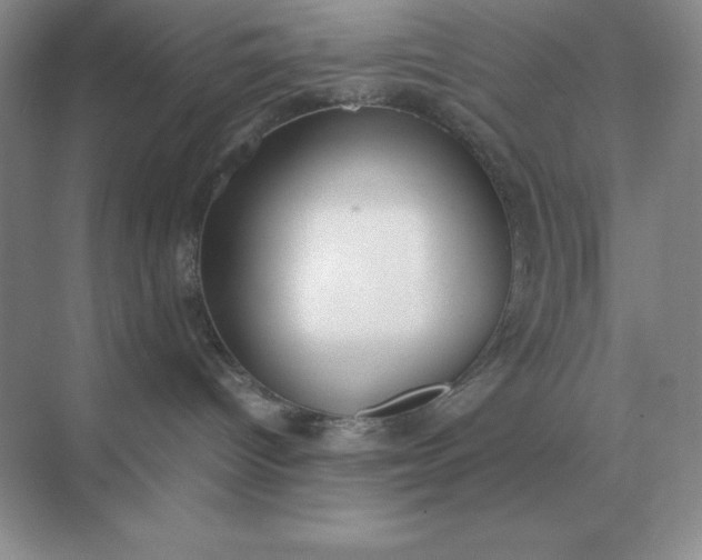 X0000071930096200607212145