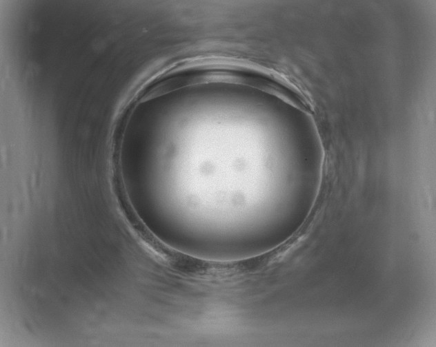 X0000071930101200607212144