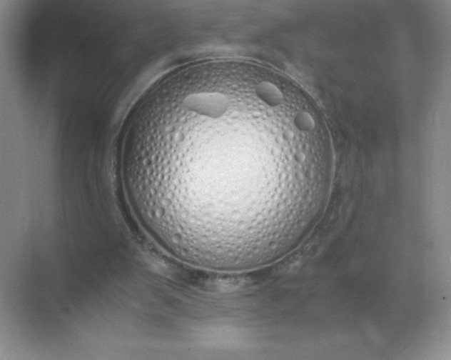 X0000071930103200607212144