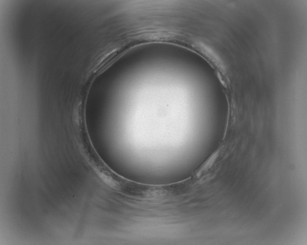 X0000071930105200607212144