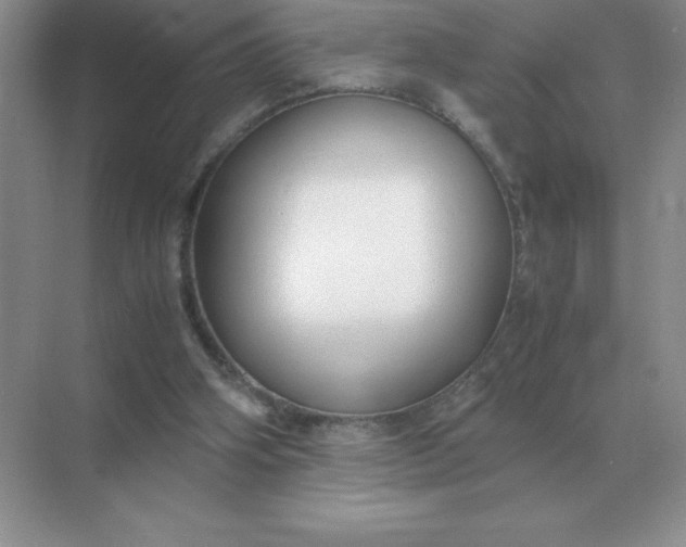 X0000071930106200607212144