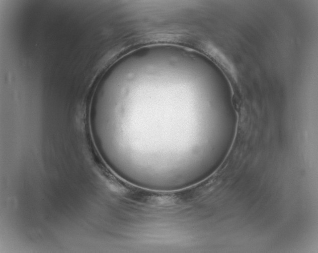 X0000071930107200607212144
