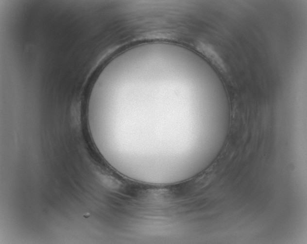 X0000071930108200607212144