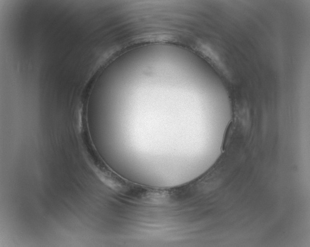 X0000071930110200607212144