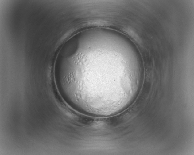 X0000071930111200607212144