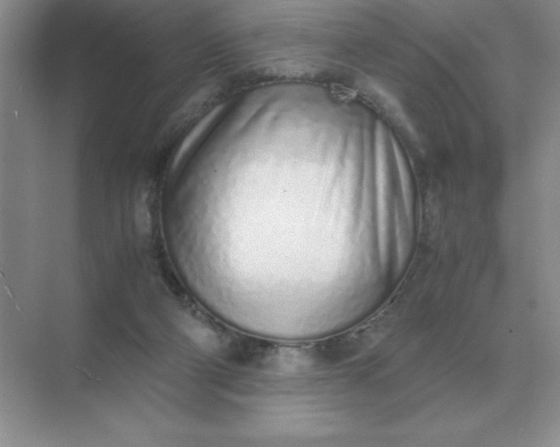 X0000071930114200607212144