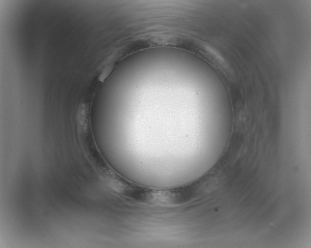 X0000071930121200607212144