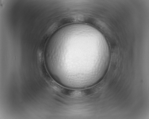 X0000071930123200607212144