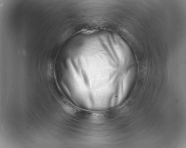 X0000071930130200607212144