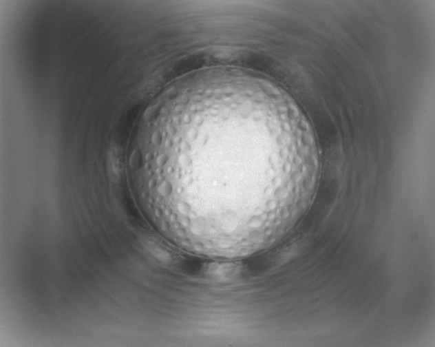 X0000071930135200607212144