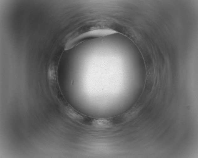 X0000071930137200607212144