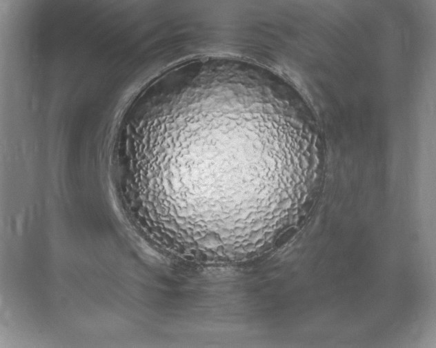 X0000071930145200607212143