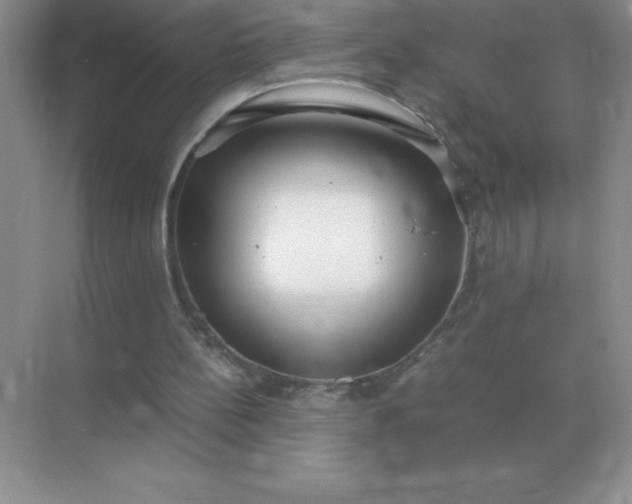 X0000071930148200607212143