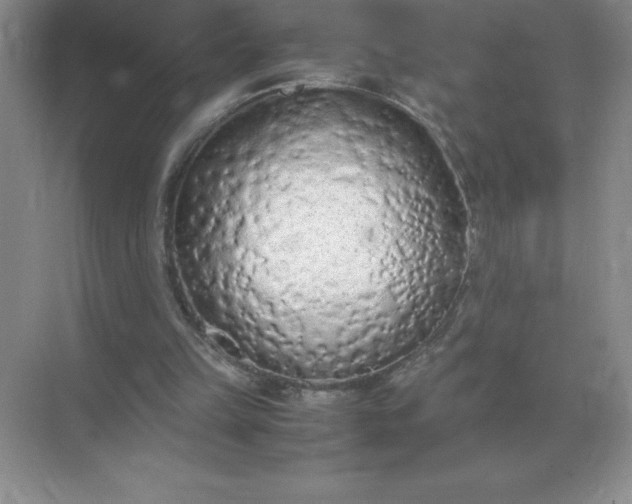 X0000071930149200607212143