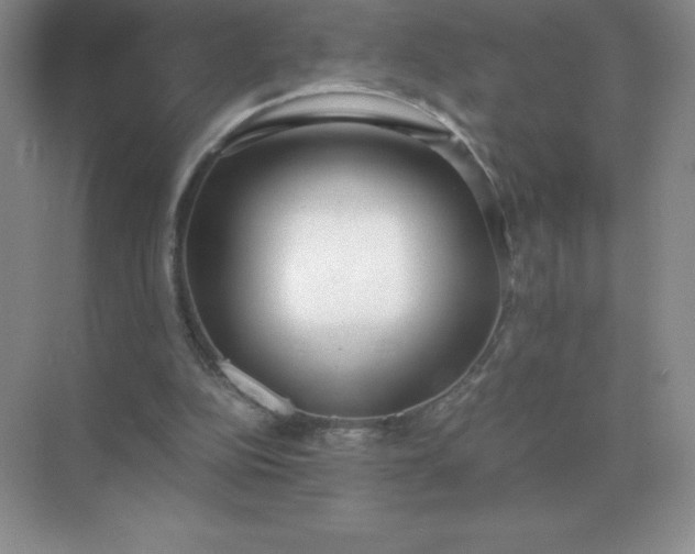 X0000071930152200607212143