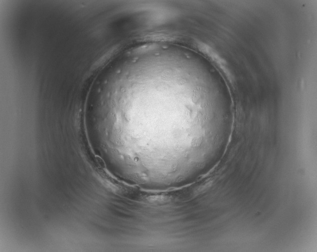 X0000071930153200607212143