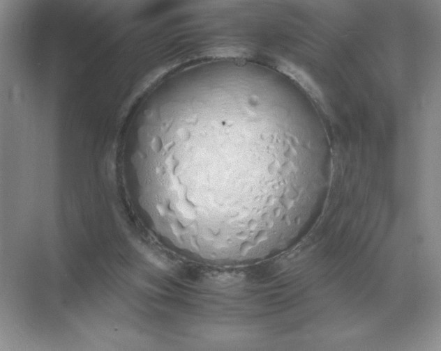 X0000071930155200607212143