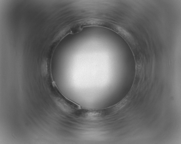 X0000071930158200607212143
