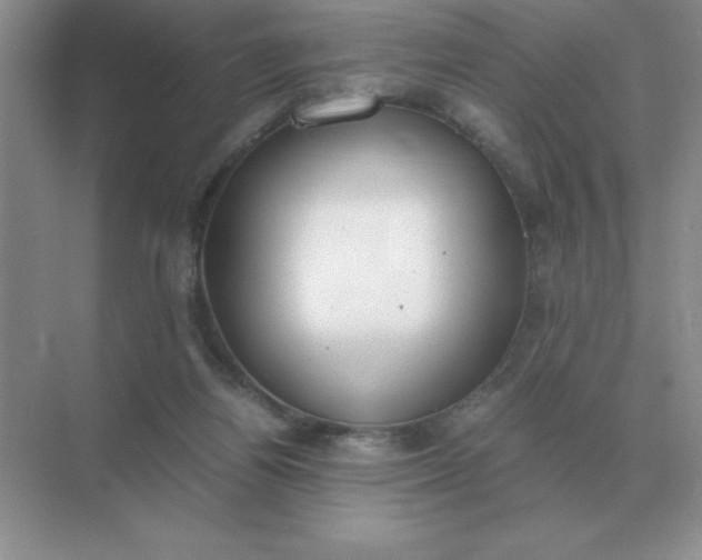 X0000071930164200607212143