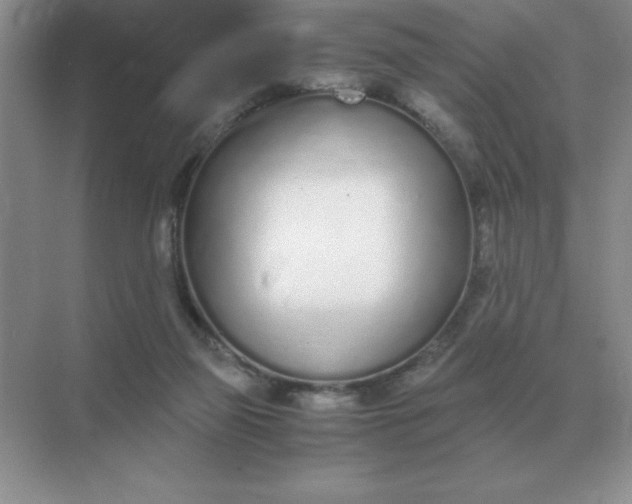X0000071930165200607212143