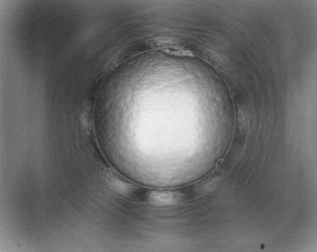 X0000071930181200607212143
