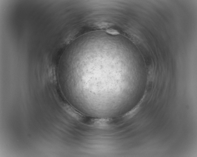 X0000071930182200607212143