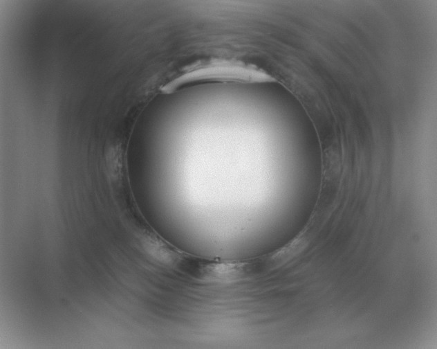 X0000071930184200607212143