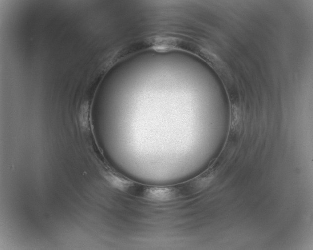 X0000071930189200607212143