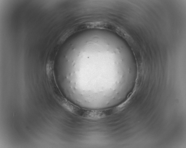 X0000071930191200607212143