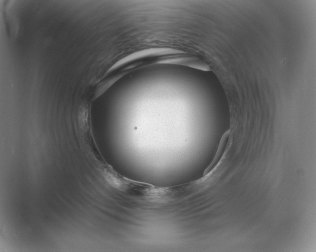 X0000071930192200607212143
