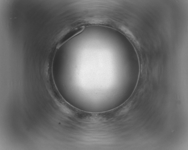 X0000071930201200607212143