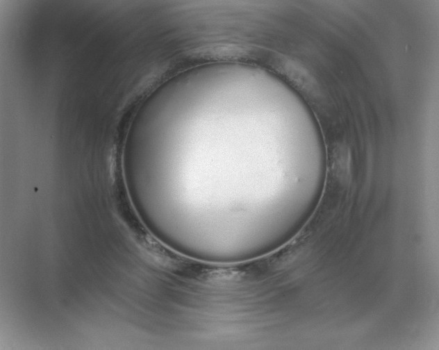 X0000071930206200607212142