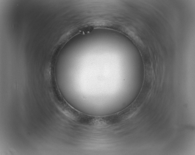 X0000071930207200607212142