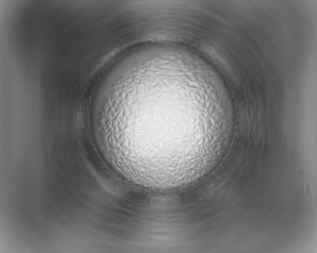 X0000071930208200607212142