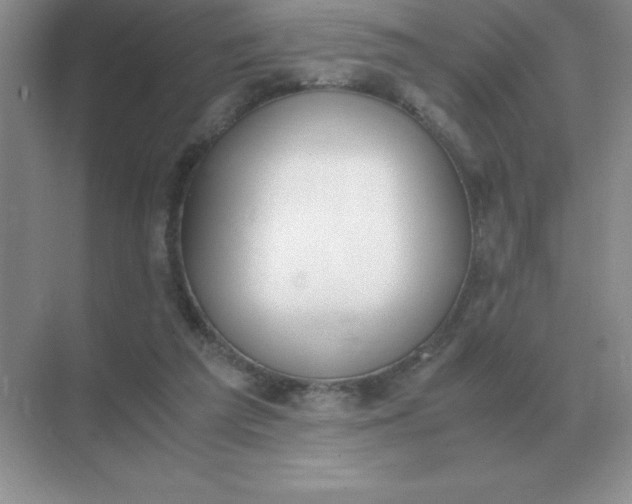 X0000071930209200607212142