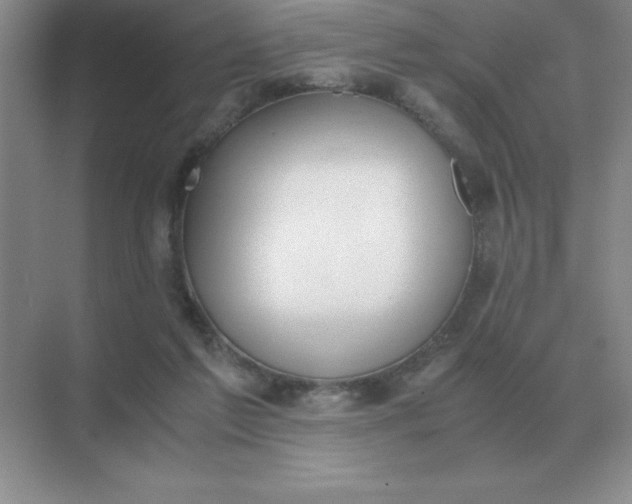 X0000071930213200607212142