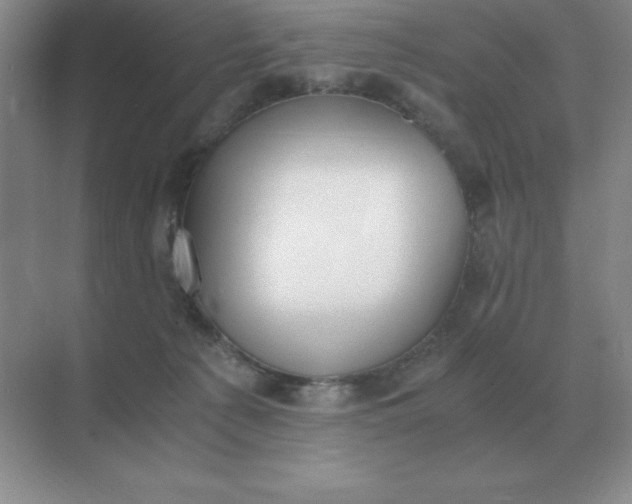 X0000071930225200607212142
