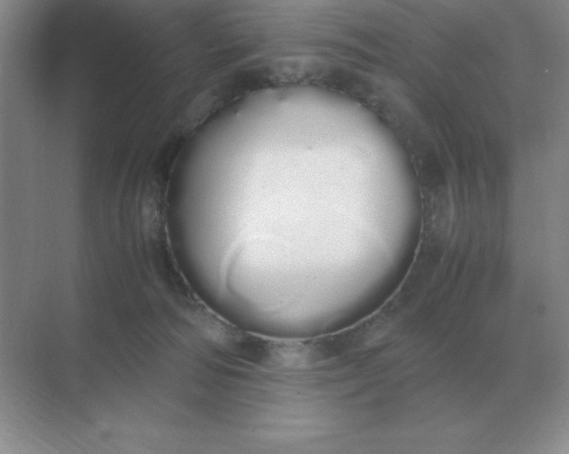 X0000071930226200607212142