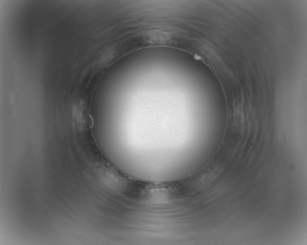 X0000071930228200607212142
