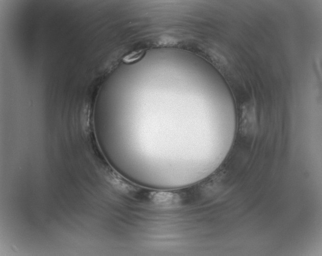 X0000071930230200607212142