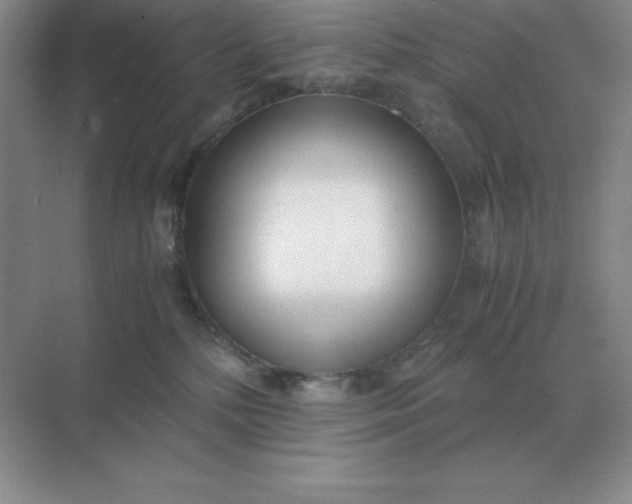 X0000071930232200607212142