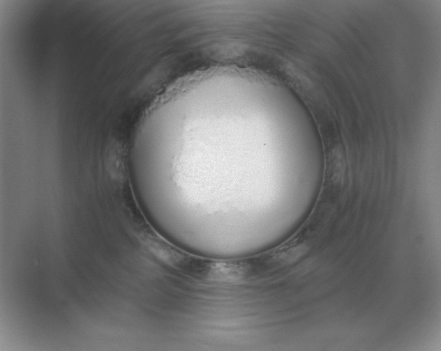 X0000071930234200607212142