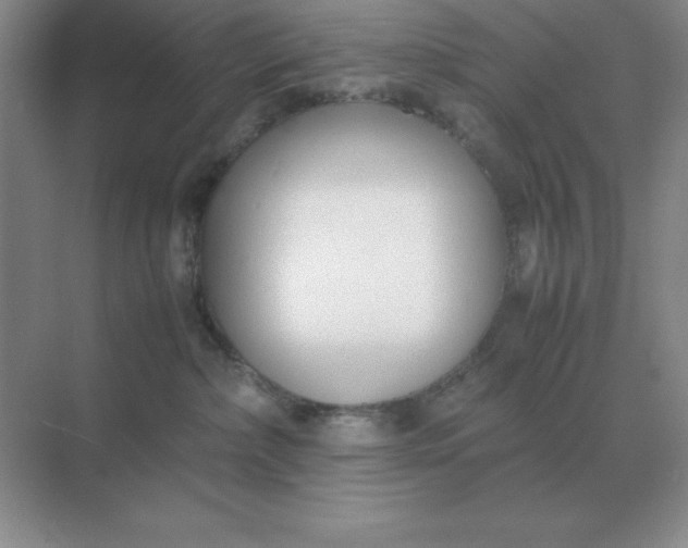 X0000071930236200607212142