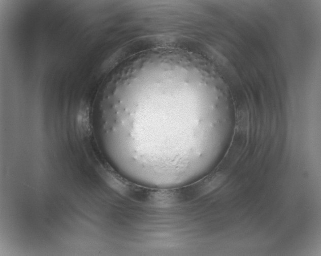X0000071930238200607212142