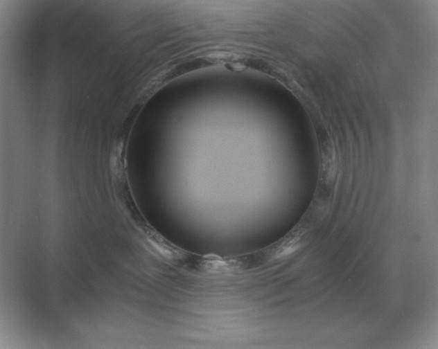 X0000071930239200607212142