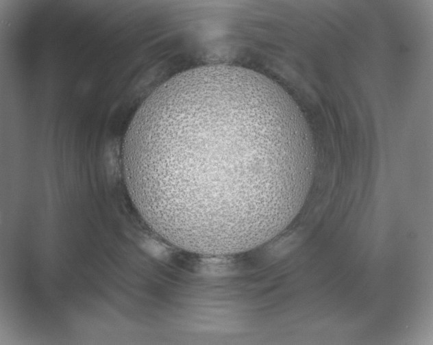 X0000071930240200607212142
