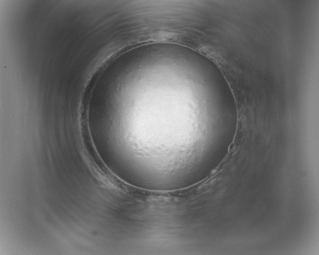 X0000071930242200607212141