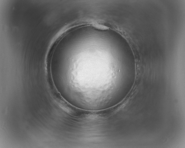 X0000071930246200607212141