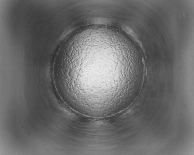 X0000071930249200607212141